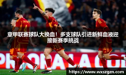 意甲联赛球队大换血！多支球队引进新鲜血液迎接新赛季挑战