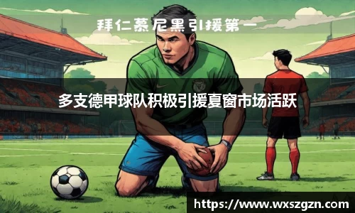 多支德甲球队积极引援夏窗市场活跃