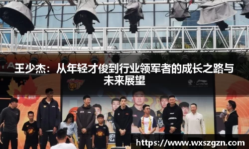 王少杰：从年轻才俊到行业领军者的成长之路与未来展望