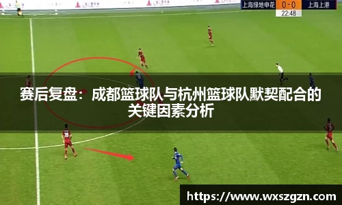 赛后复盘：成都篮球队与杭州篮球队默契配合的关键因素分析