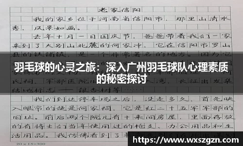 羽毛球的心灵之旅：深入广州羽毛球队心理素质的秘密探讨