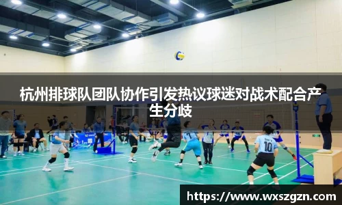 杭州排球队团队协作引发热议球迷对战术配合产生分歧