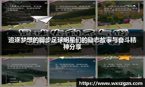 乐动LDSports体育